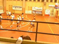Immagine Allegata