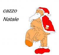 Immagine Allegata