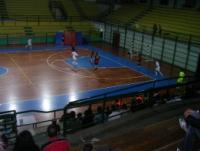 Immagine Allegata