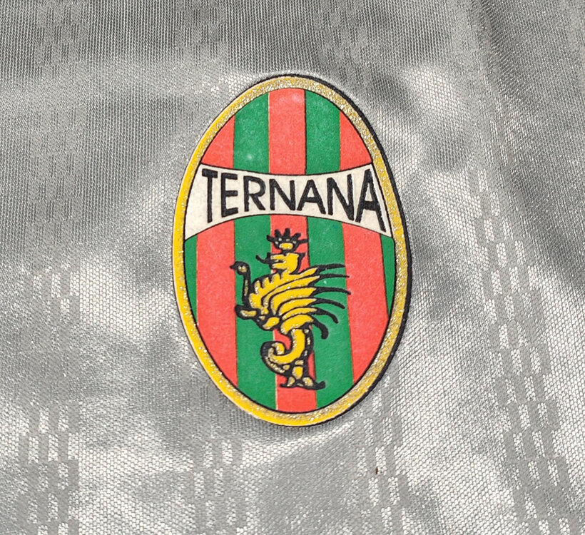 TERNANA-MAGLIA-ERREA-2001-02-GRIGIA-17-XXL-PROFESSIONE-CASA-8.thumb.jpg.fddbf728fc51443487621e85bd982bc6.jpg