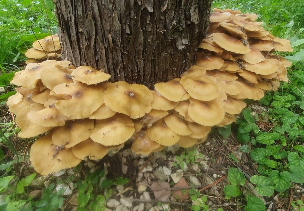 20241017_103515.jpg