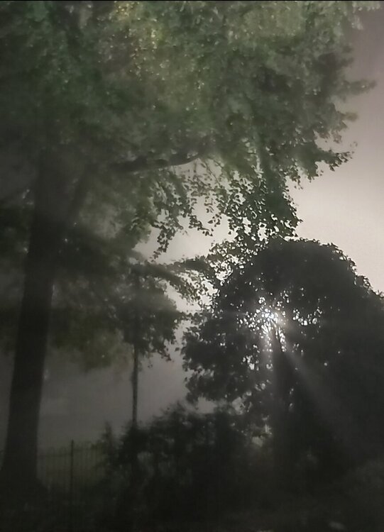 Screenshot_20241104-160644_Gallery.jpg