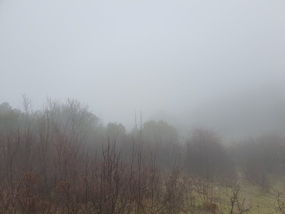 20250103_113758.jpg