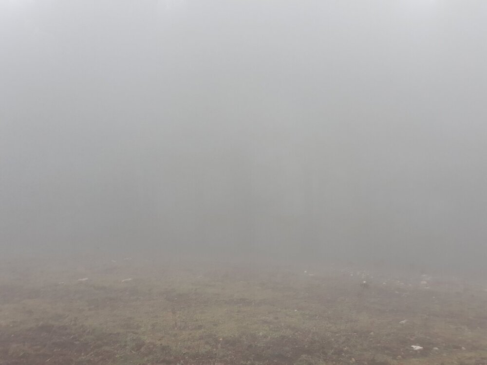 20250103_124340.jpg