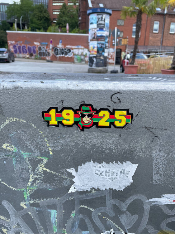 IMG_3141.jpeg