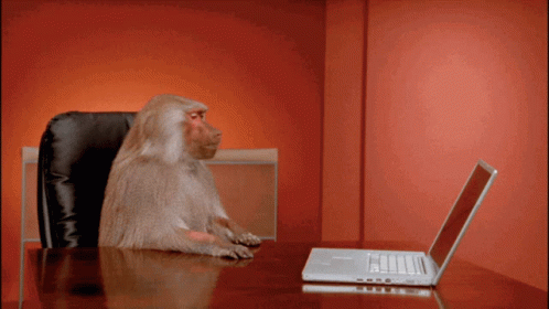 tugcekulas-monkey.gif.98a30b4146d392b02c6387ae3689e8b7.gif