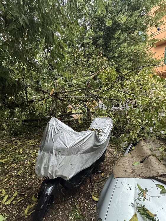 image.thumb.jpeg.a9620bc4ea20c8e618f0f9b58289b669.jpeg
