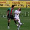 lollo rossoverde