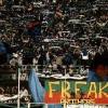 Freak Spoleto